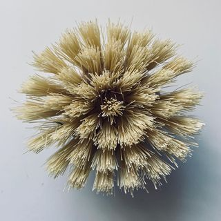 eco living replacement wooden dish head sat on table