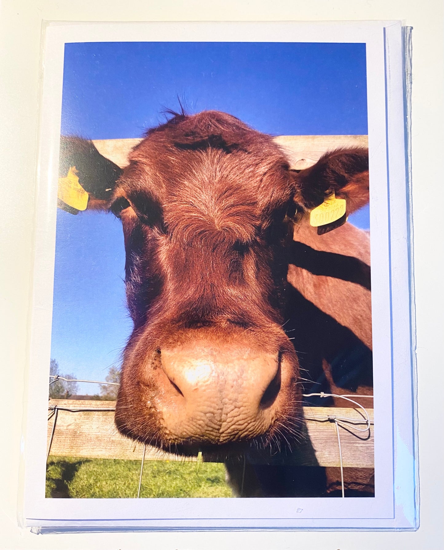 Greetings Cards (3 Pack) - Down on The Farm (7001069224094)