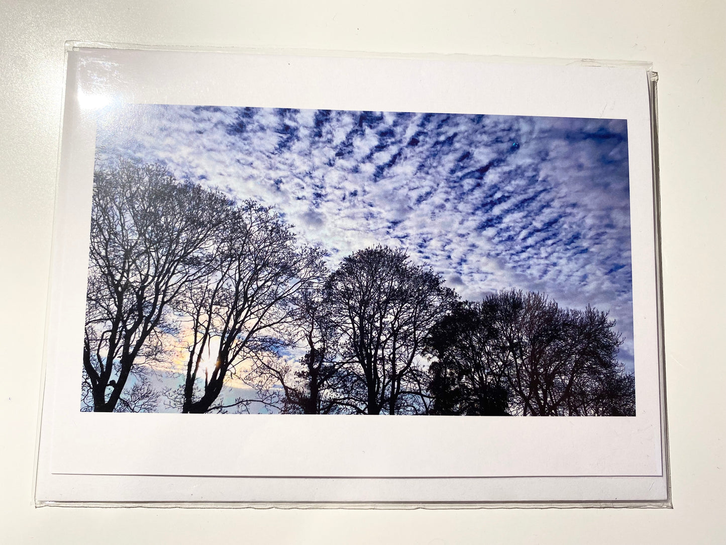 Greetings Cards (2 Pack) - Wintry Skies (7001085542558)