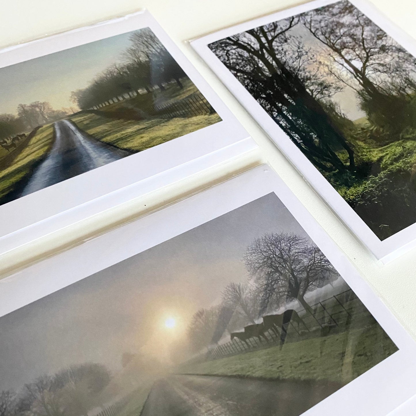 Greetings Cards (3 Pack) - Misty, Wintry Morning (7001089704094)
