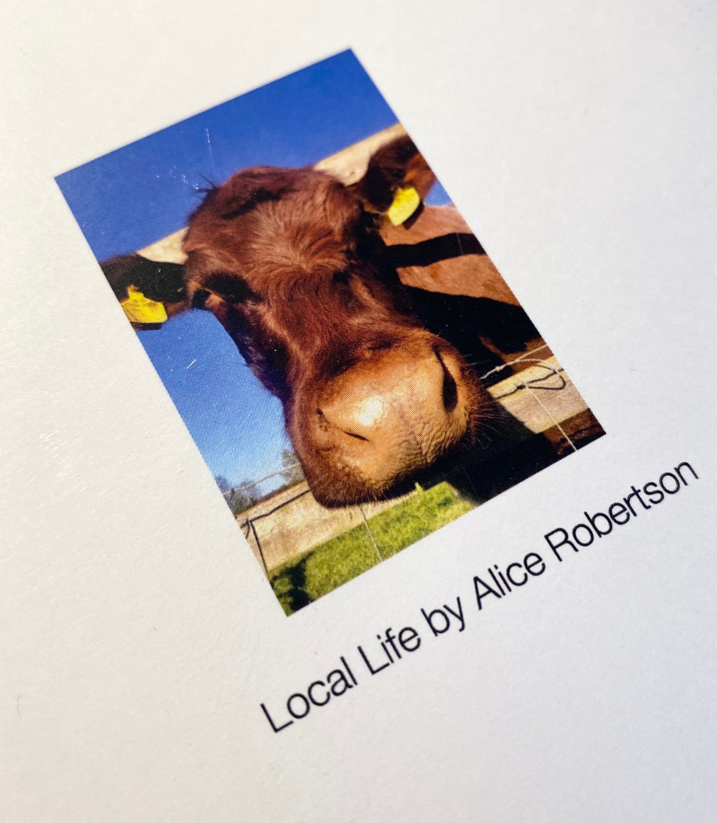 Greetings Cards (3 Pack) - Down on The Farm (7001069224094)