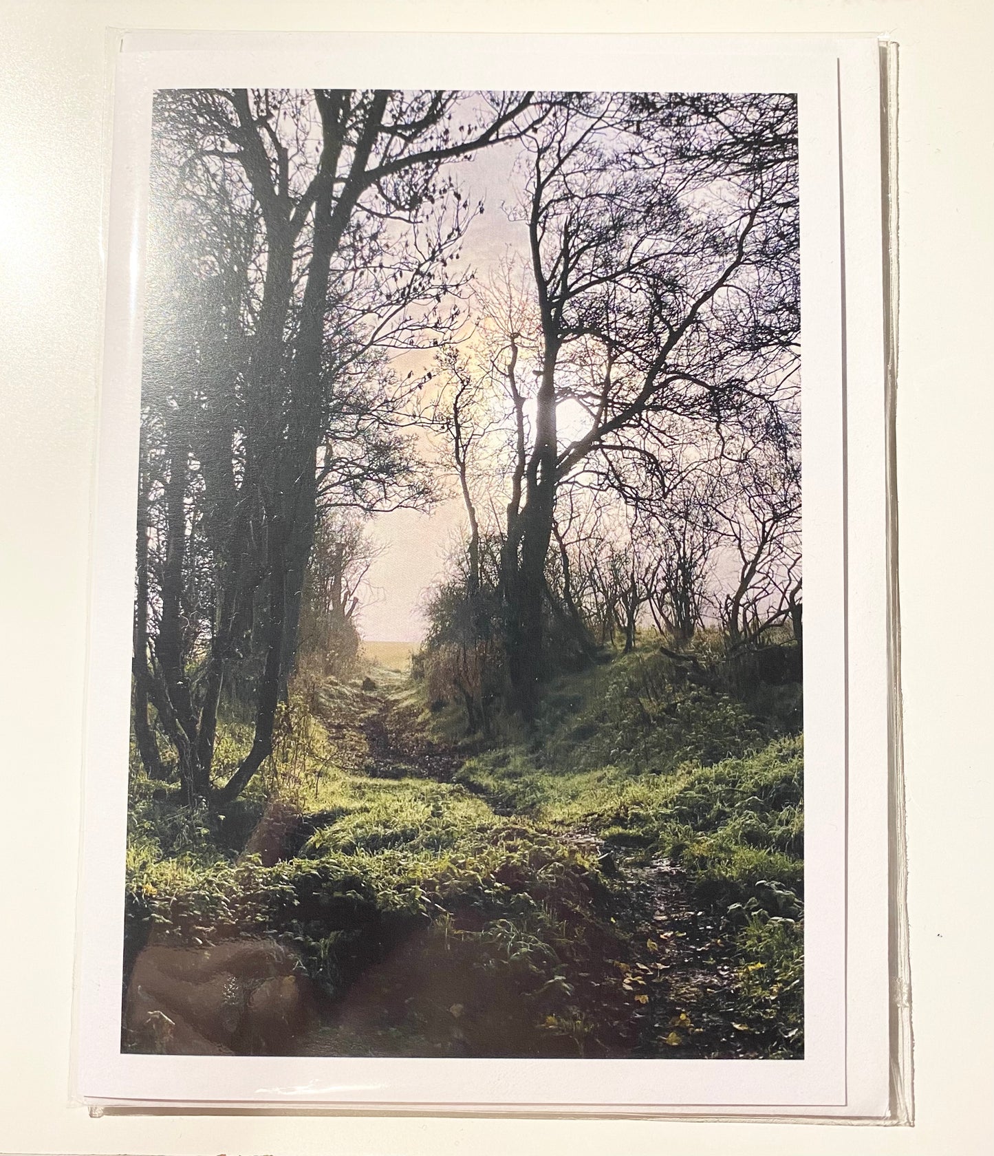 Greetings Cards (3 Pack) - Misty, Wintry Morning (7001089704094)