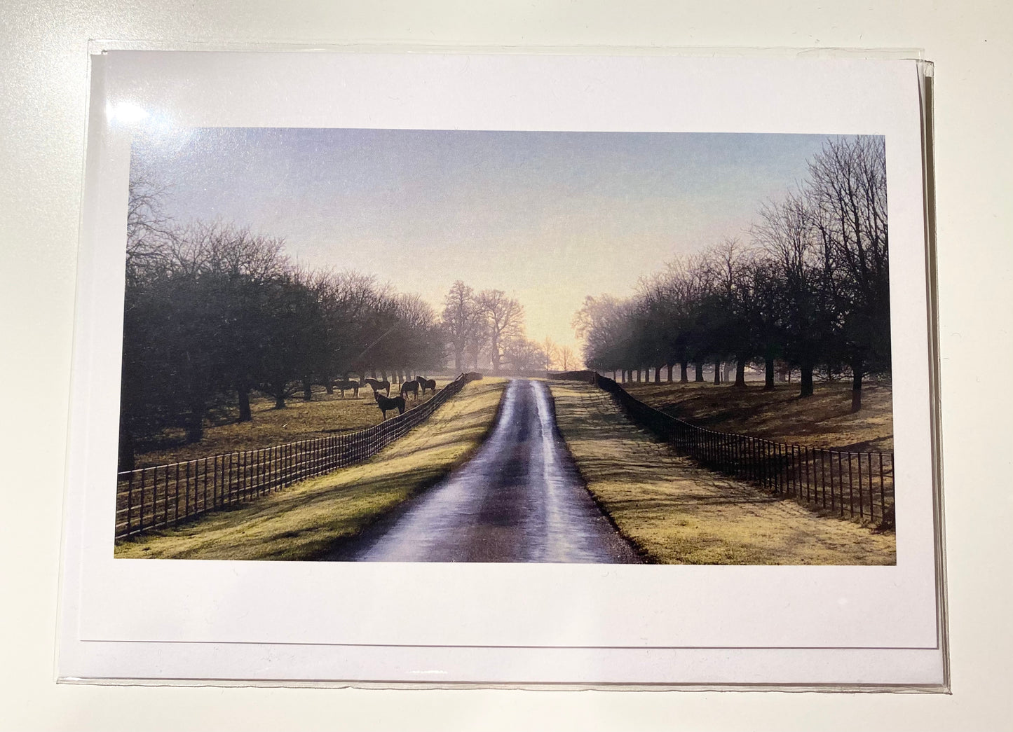 Greetings Cards (3 Pack) - Misty, Wintry Morning (7001089704094)