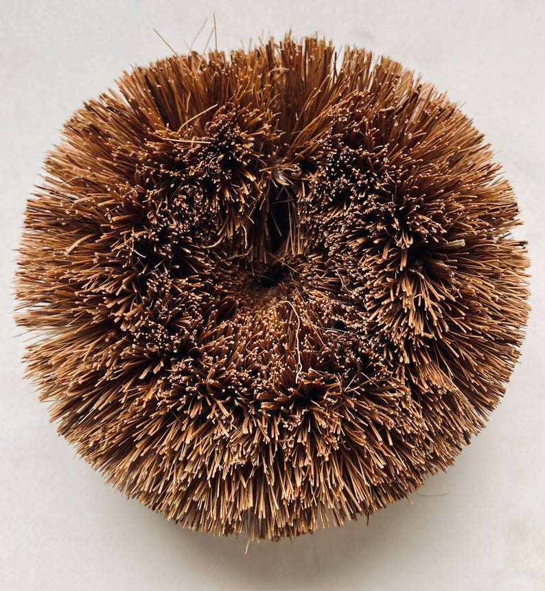 Ecococonut scourer sat on table