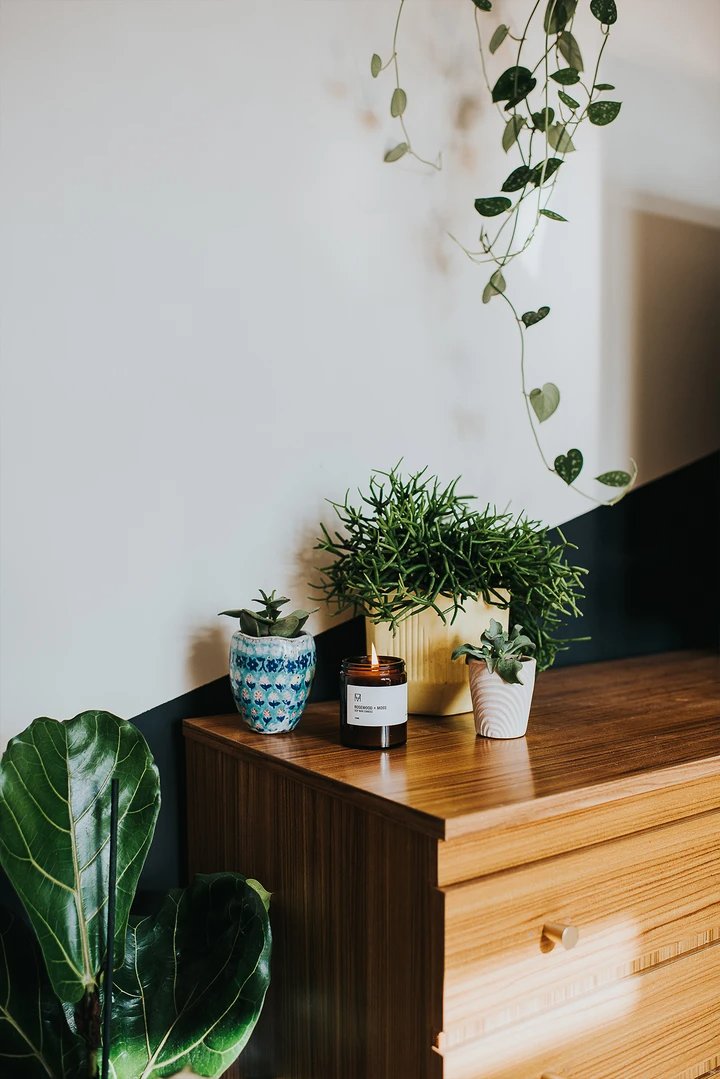 Handmade Candle Co. earth consious candle sat on chest of drawers next to house plants