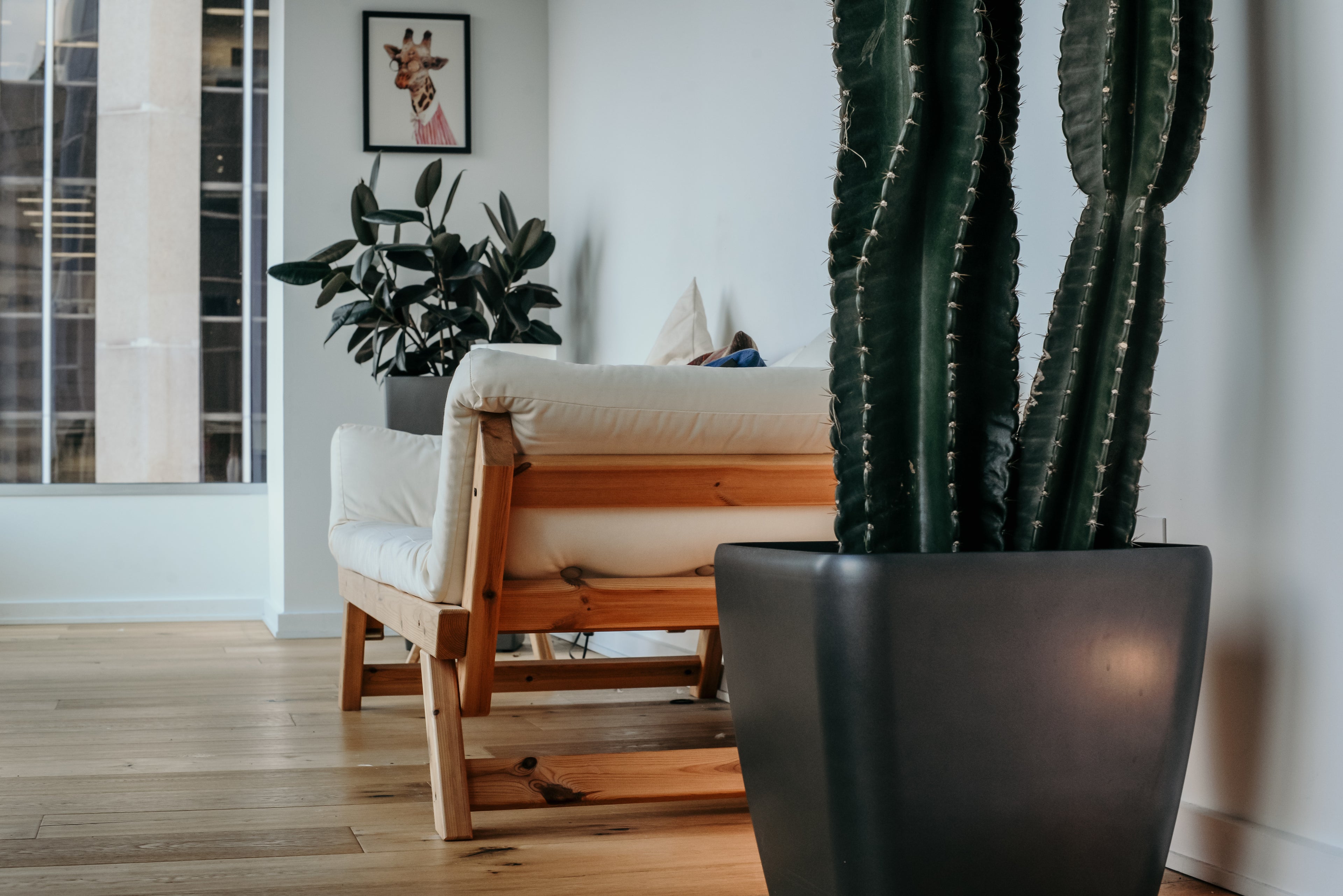 Home page showing a view of a relaxing lounge with indoor plants and a chair, wooden floor and view outside and giraffe picture