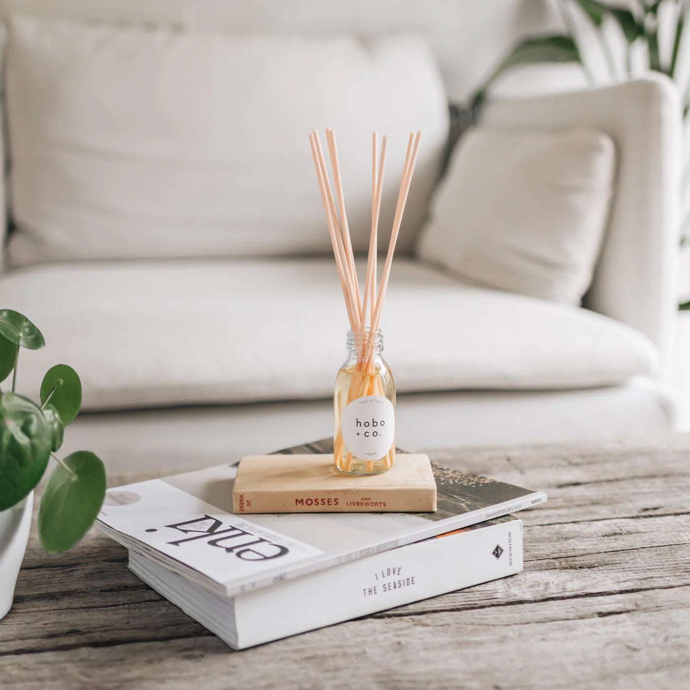 ROAM / Cedarwood, Lemon & Lemongrass Reed Diffuser